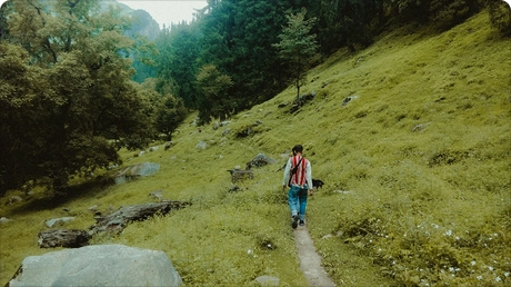 Journeys, Just for You