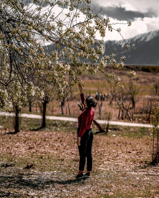 Meaningful Exchanges